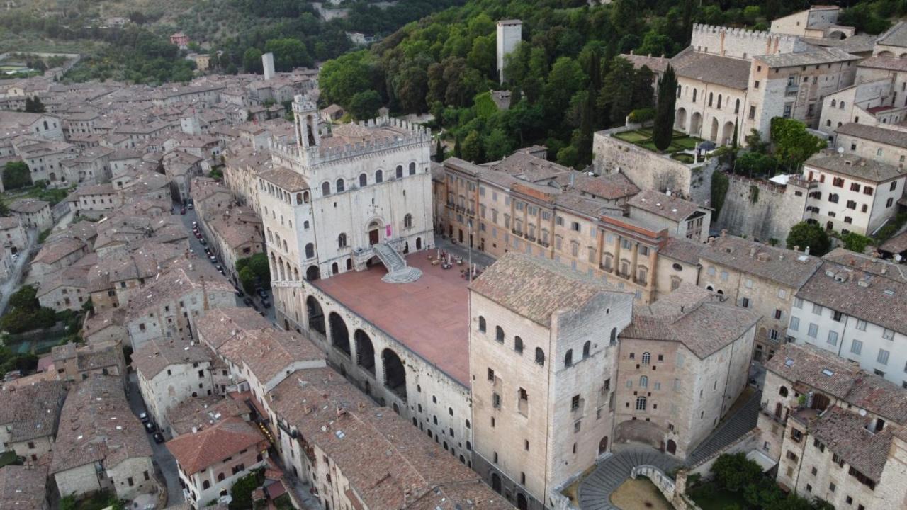 Gattapone 9 Gubbio