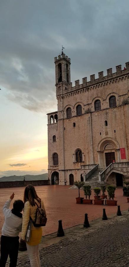Gattapone 9 * Gubbio