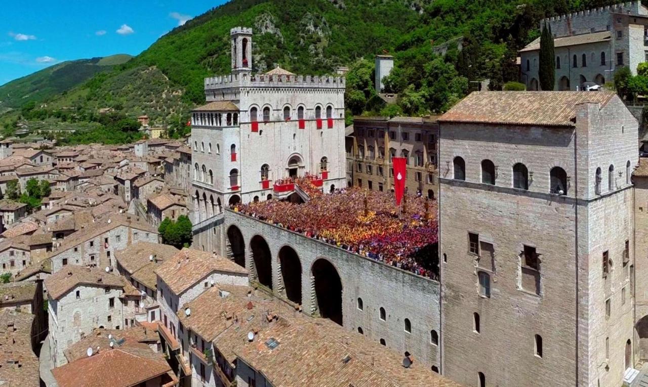 Gattapone 9 Gubbio
